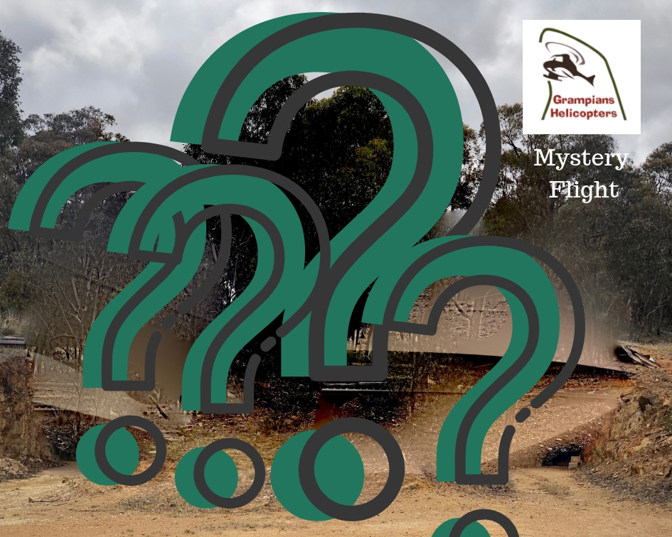Mystery Flight