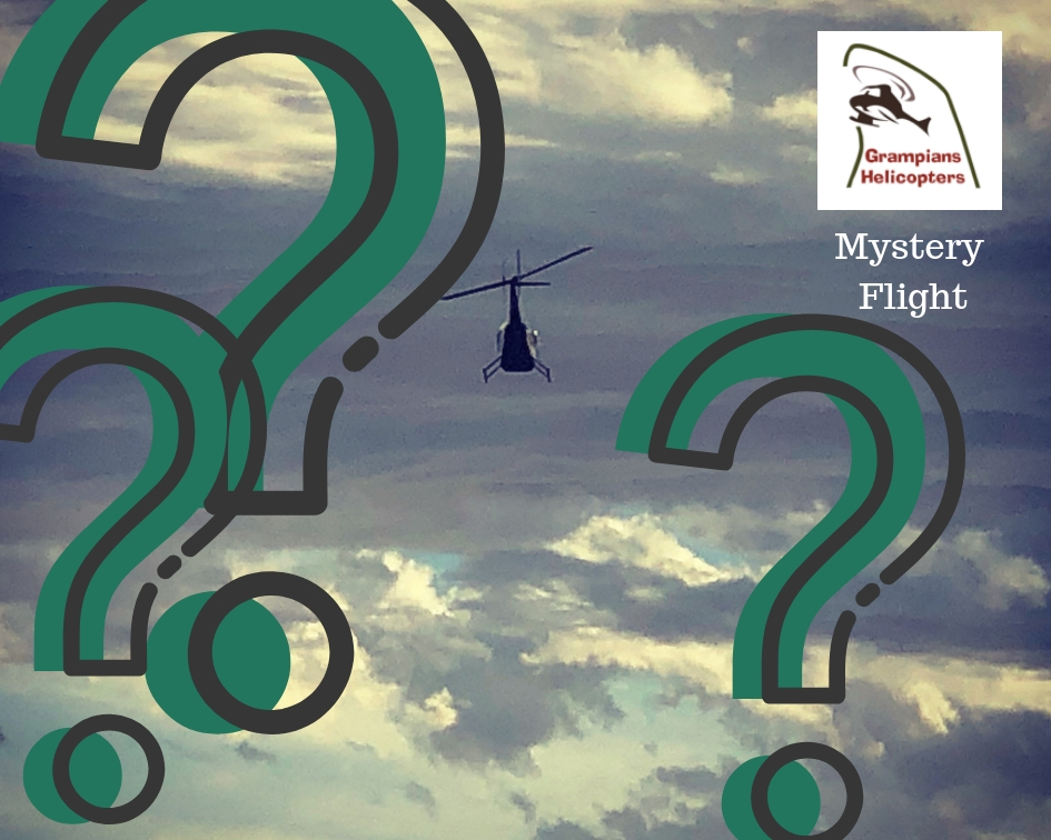 Mystery Flight