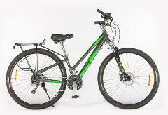 MEDIUM Unisex Low Step - Trail Comfort  Bike (Mapua)