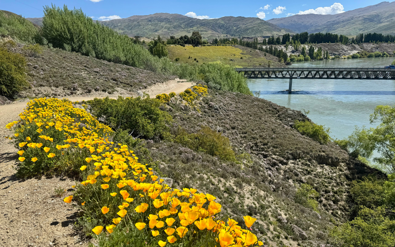 Kiwi Journeys: Lake Dunstan & Bannockburn Inlet Sojourn with Lunch — Bannockburn - Photo 2