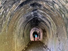Tunnel to Town (Nelson City)