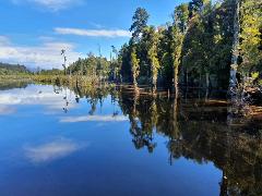 Rainforest to Wetlands