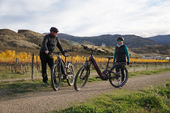 NEW!! Taste of Gibbston from Queenstown (Arrowtown to Gibbston)