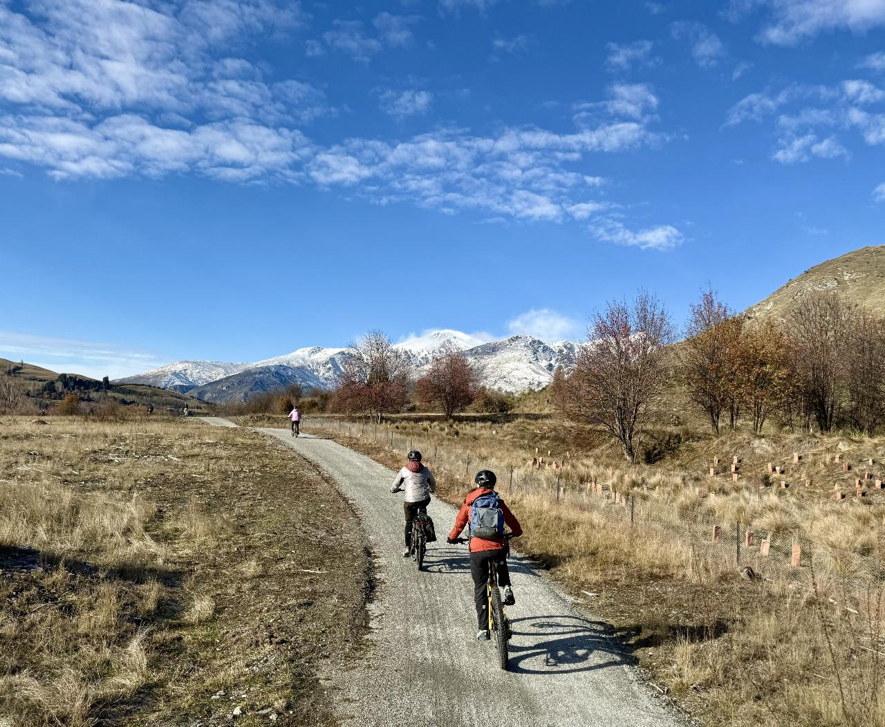 NEW!! Queenstown to Gibbston Explorer by eBike