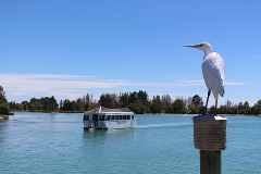 Mapua Ferry - Season Passes