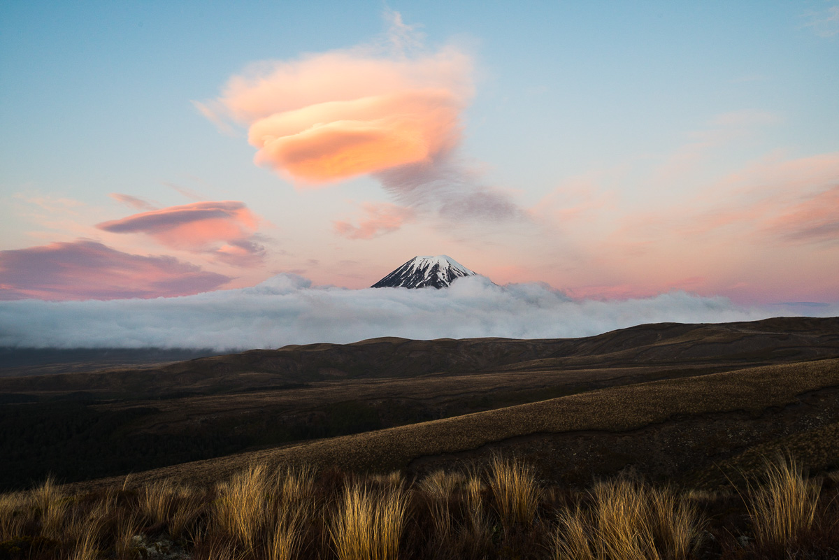 X - 2020 - North Island Landscape Photo Tour - 15 Days