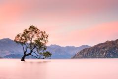 Private - Wanaka Photography Tour (1 day)