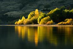 Private - Wanaka Photography Experience (1 day)