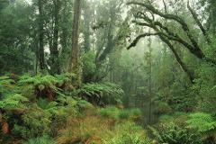 Wilderness Photography Retreat
