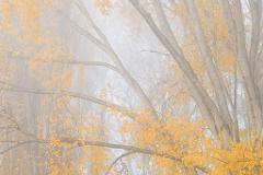 Autumn Photography Masterclass