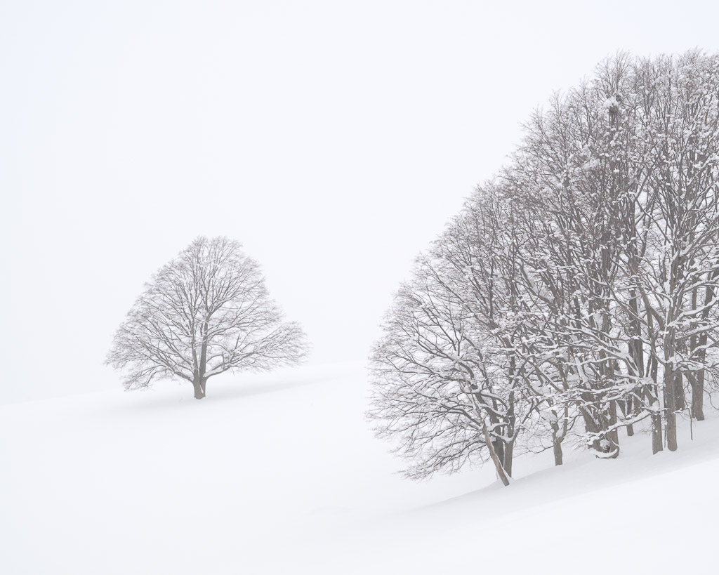 2027 - Hokkaido Photography Tour 