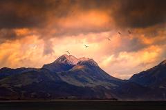 2026 - NZ Southern Explorer Photo Tour  