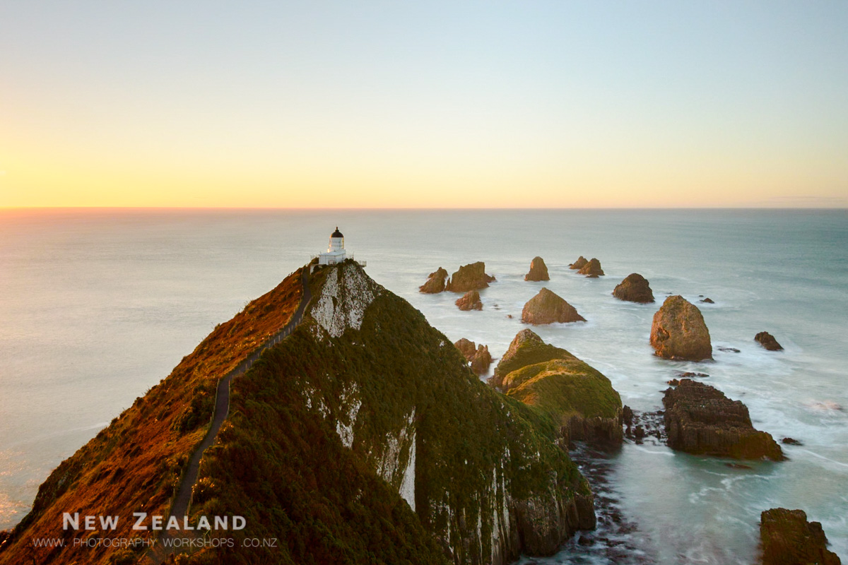 Wild South Island Photo Tour - 7 Days