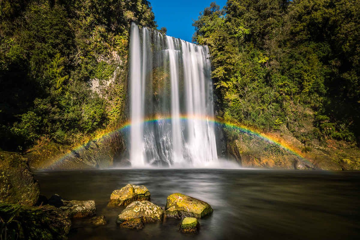 Private - Bay of Plenty Photography Tour (3 days)