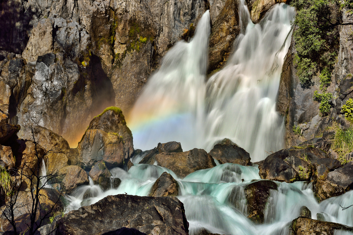 Private - Tauranga/Rotorua Photography Tour (1 day)