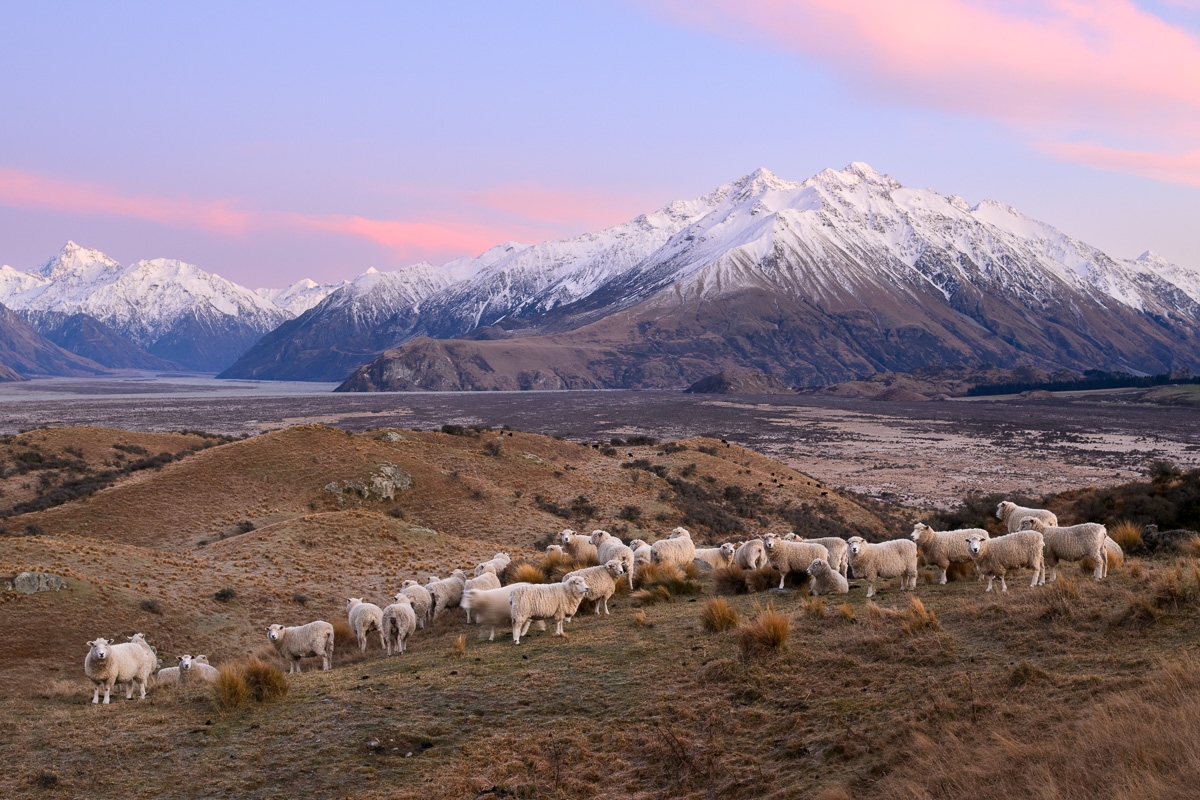 Muster Photography Workshop - Ashburton Lakes