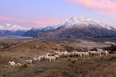 Muster Photography Workshop - Ashburton Lakes