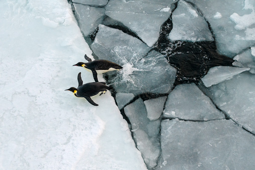 Antarctica Photography Expedition [2026]