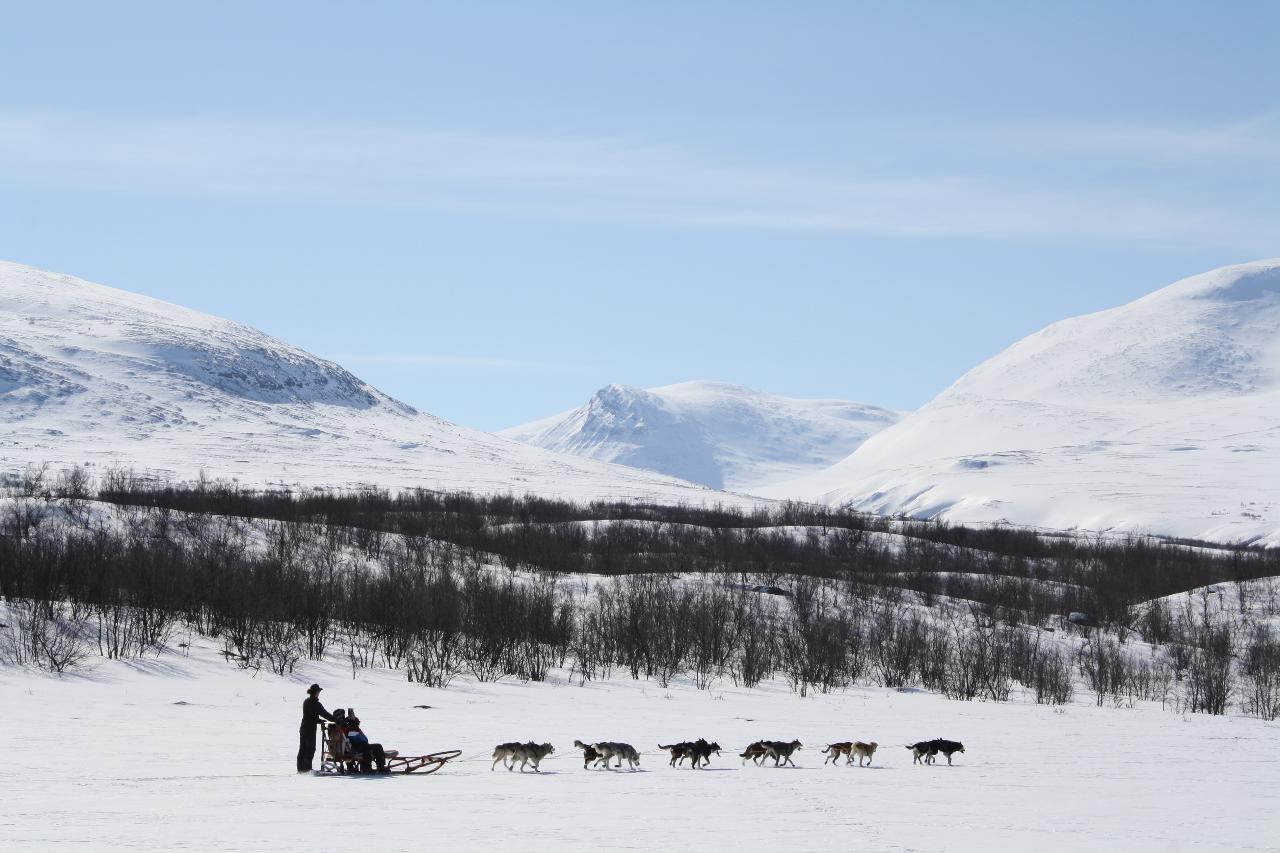 Dogsledding and Snowmobile combo tour