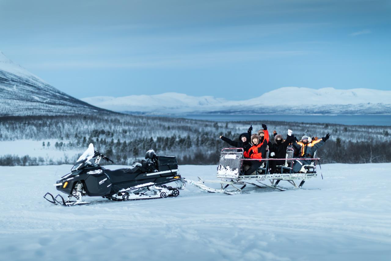 Arctic Nature & Wildlife Spotting Tour Abisko