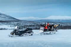 Arctic Nature & Wildlife Spotting Tour Abisko