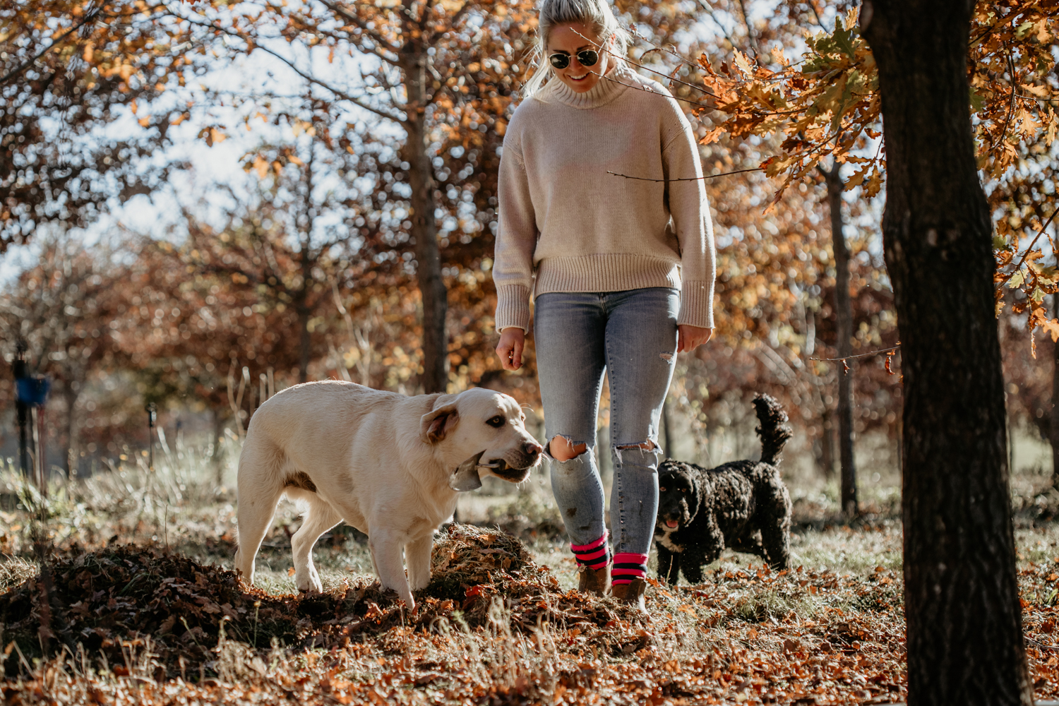 Truffle hunting with TasTruffles