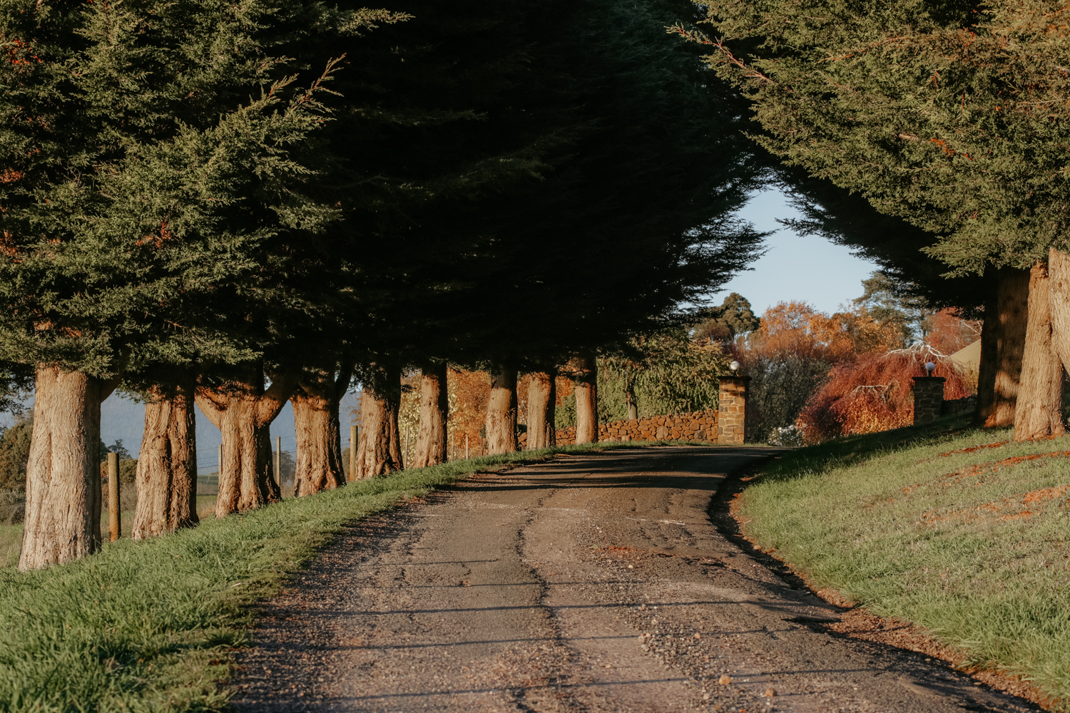 Truffle tour and tasting with TasTruffles