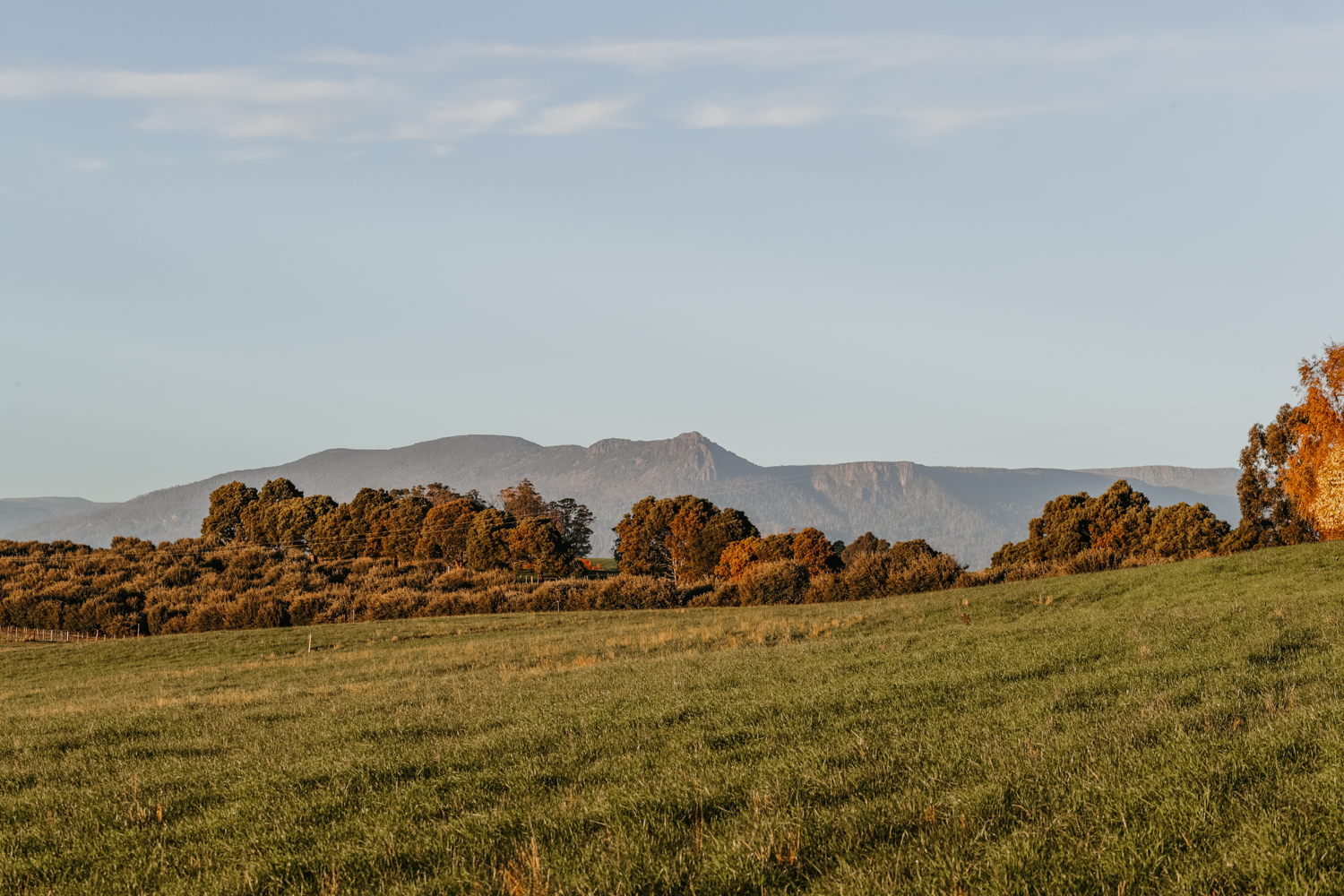 Truffle tour and tasting with TasTruffles