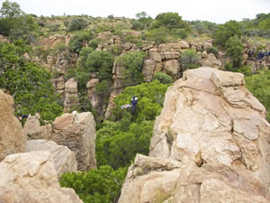 MAGALIESBERG CANOPY TOURS