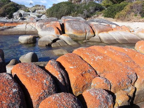 Bay of Fires Day Tour Tasmania Australia