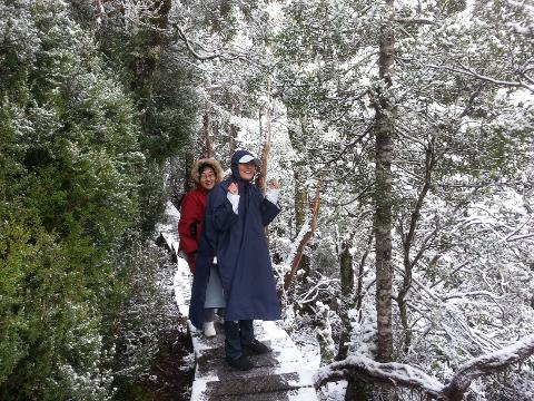 Cradle Mountain Day Tour Tasmania Australia