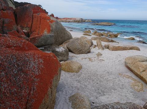 Bay of Fires Day Tour Tasmania Australia