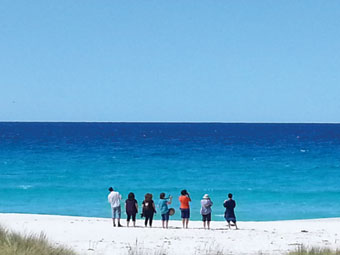 Bay of Fires Day Tour