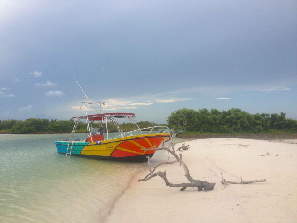 Free tour: Beach Clean-Up of La Ensenada (north coast of Holbox) / Volunteering