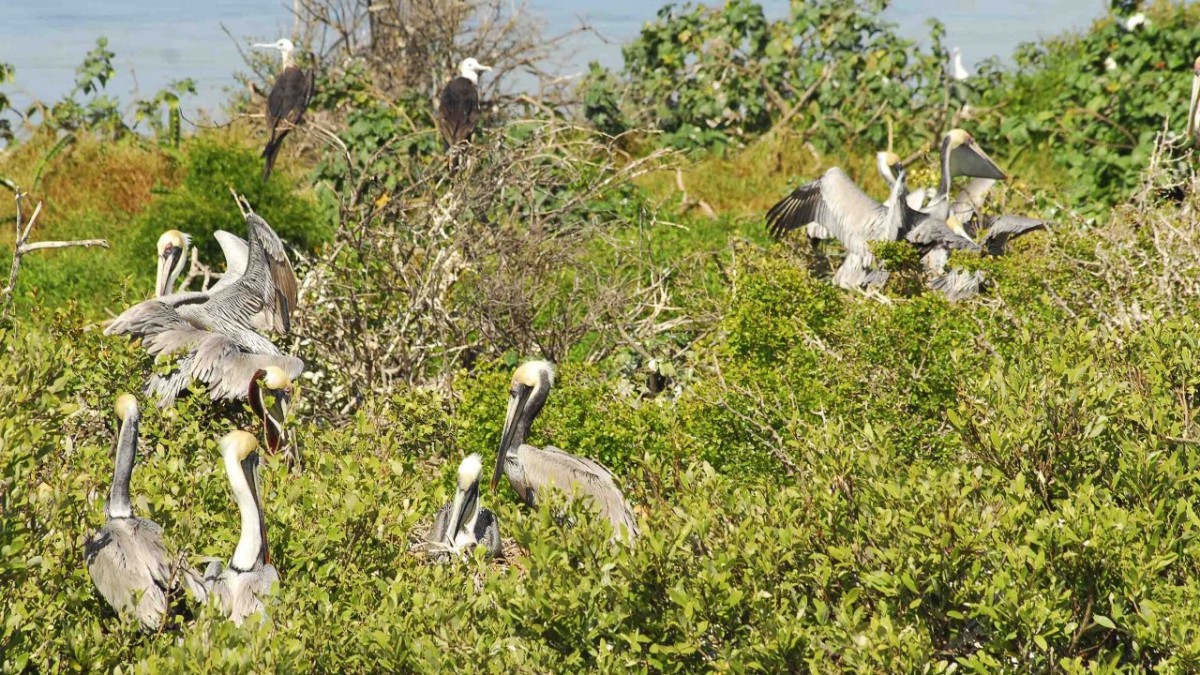 Classic 3 points Tour SIN YALAHAU - Group Tour