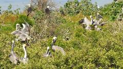 Classic 3 points Tour SIN YALAHAU - Group Tour