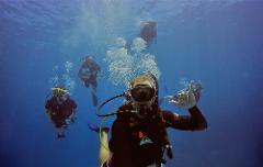 Marine Conservation program, Great Barrier Reef