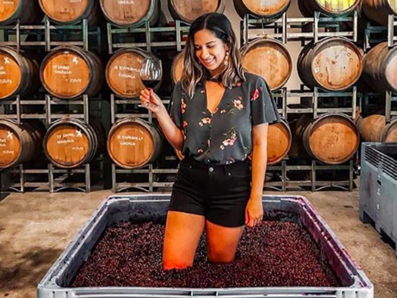 Harvest Grape Stomping