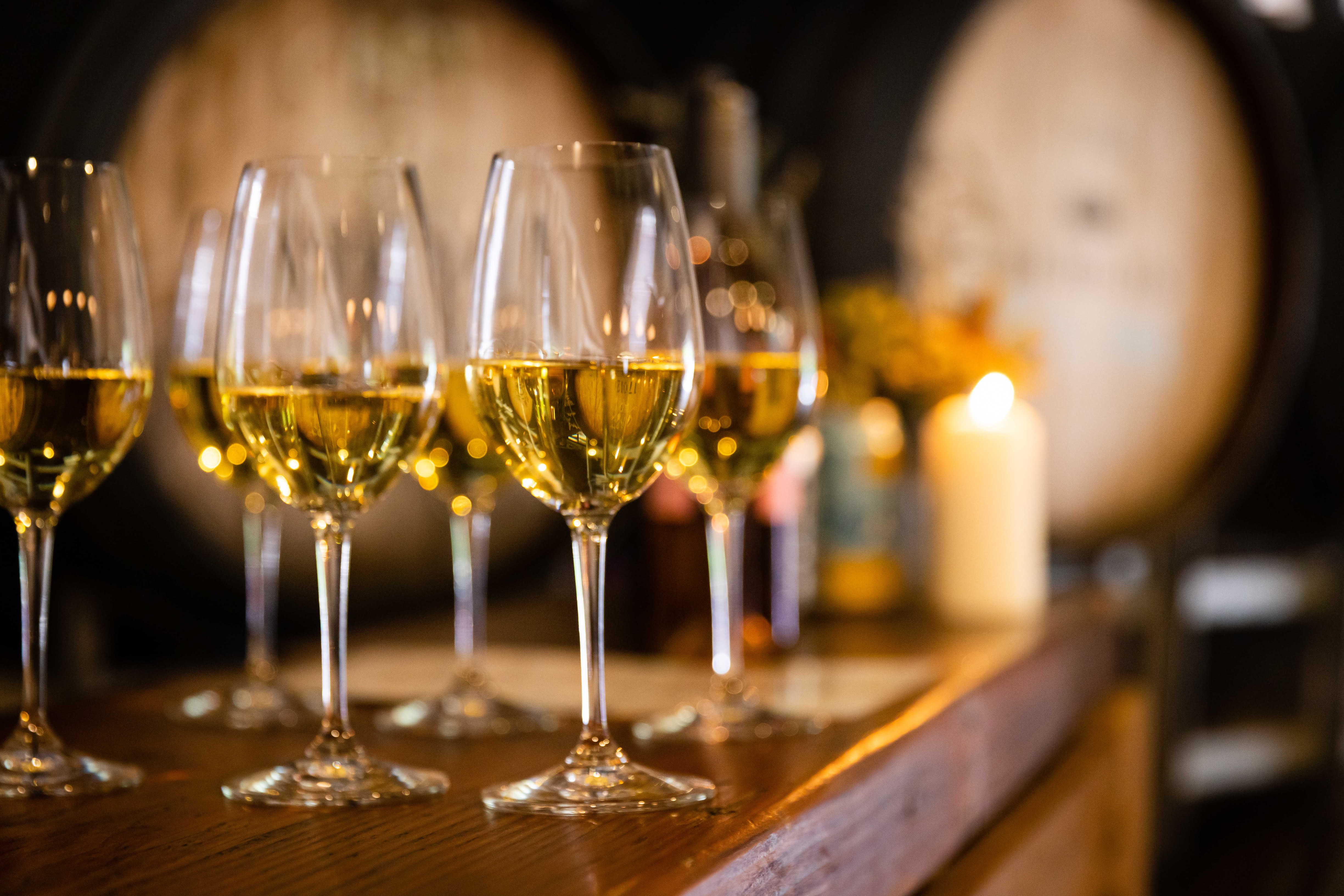 Self Guided Wine Flight