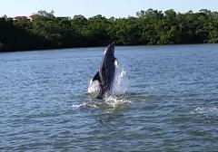 3 hr Sightseeing Charter $275 