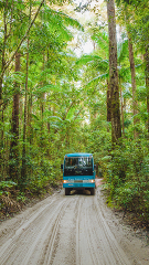 Whales & Fraser Island Trails 