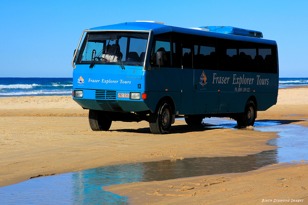 Whales & Fraser Island Trails (Peak Season)