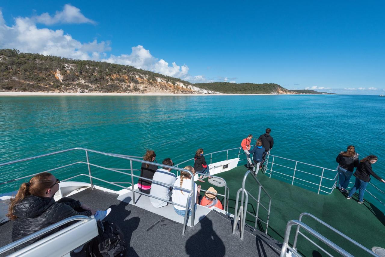 Whales & Lunch @ Fraser Island 