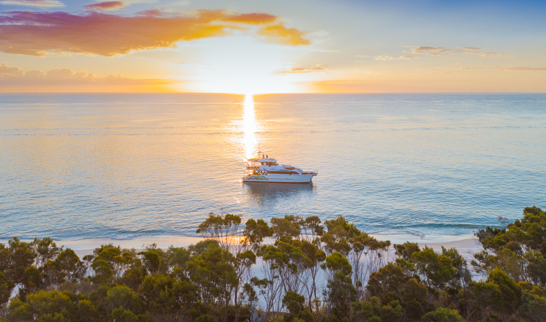 Scenic Sunset Cruise