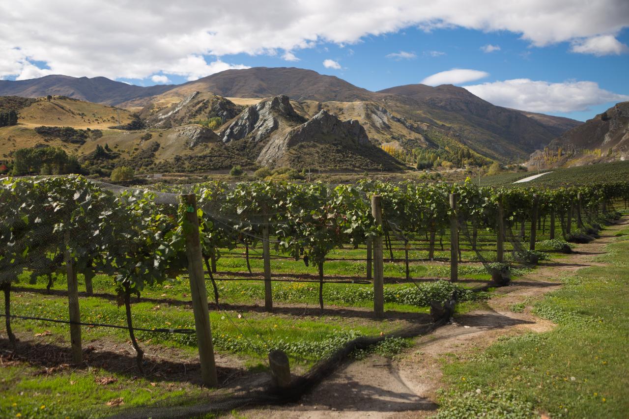 Queenstown Private Wine Lovers Tour