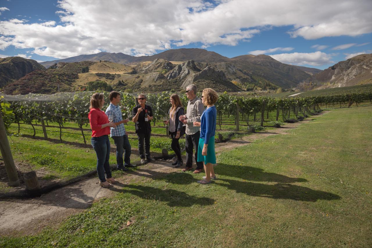 Queenstown Wine Tour