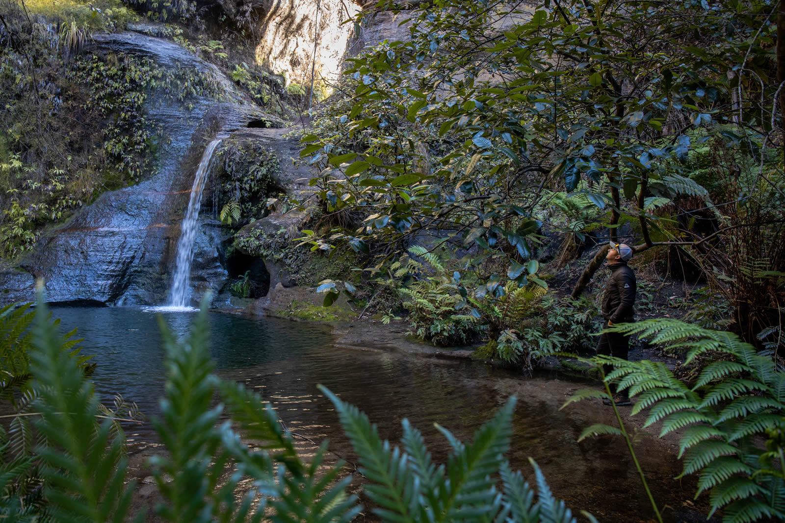 Two Day Bush Survival course - Blue Mountains
