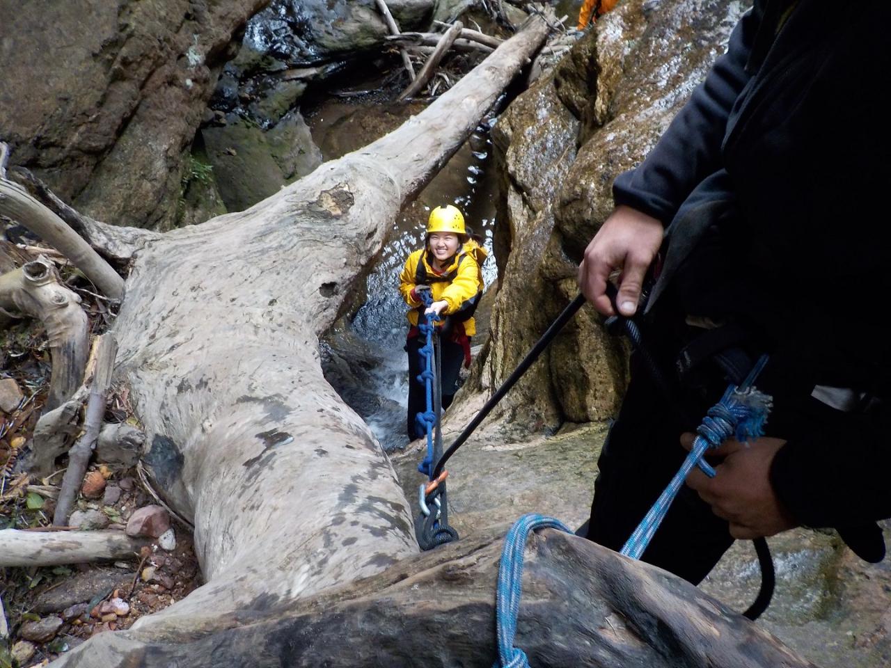 Beautiful Juggler Canyon Abseiling and Canyoning Adventure - Blue Mountains
