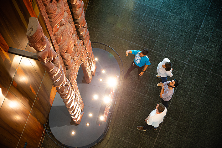 Te Papa Museum Entry (International Visitors)