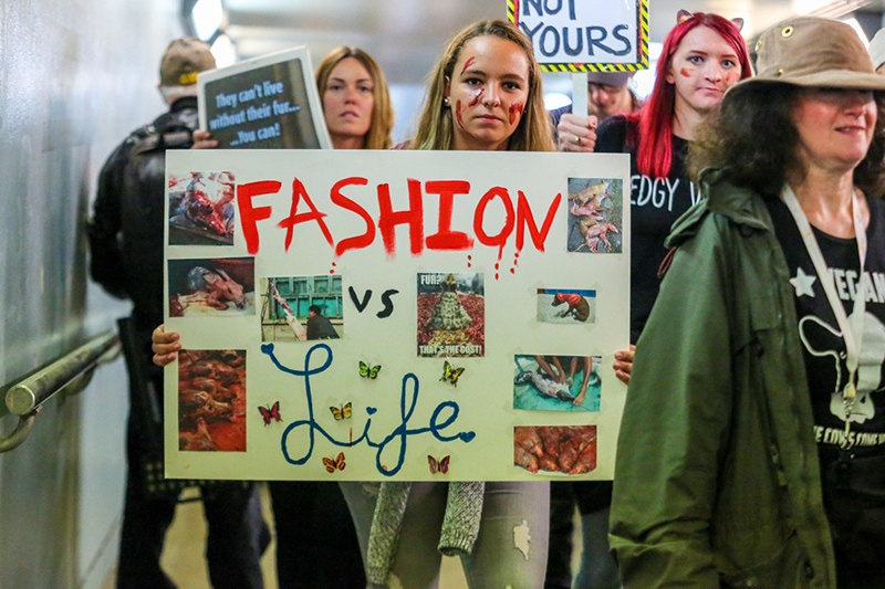 Beyond the Runway: Fashion, Activism & the Environment